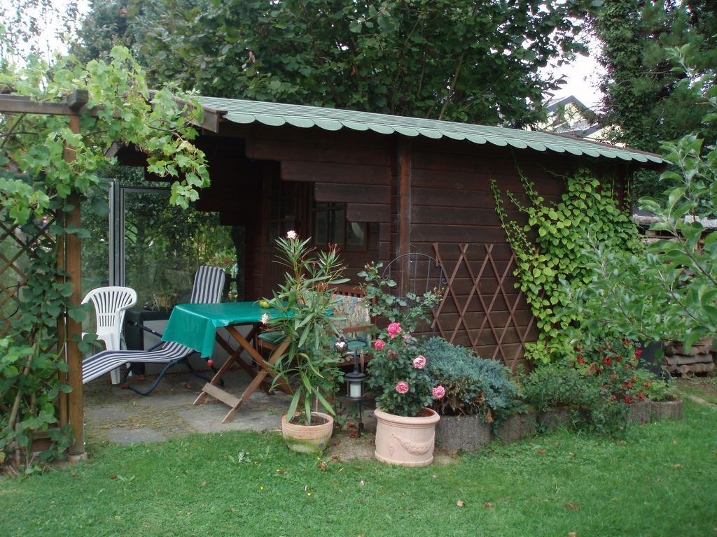 Ferienwohnung Anna Scheid Kelberg Exterior foto